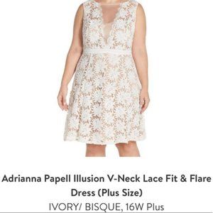 White Illusion Floral Lace Fit and Flare Dress